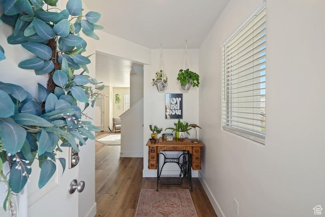 6303 S Zelda Dr, St George, UT 84790 - hallway with wood finished floors and baseboards