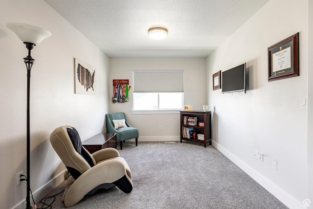 4468 W Meadow Bend Dr S, Herriman, UT 84096 - sitting room with a textured ceiling, carpet flooring, and baseboards