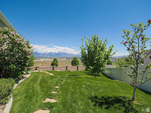 7503 S Bridge Maple Ln, West Jordan, UT 84081 - view of yard