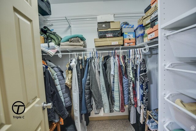 view of spacious closet