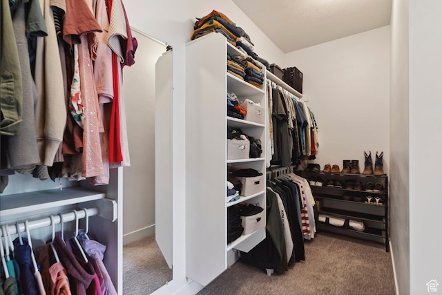 walk in closet featuring carpet flooring