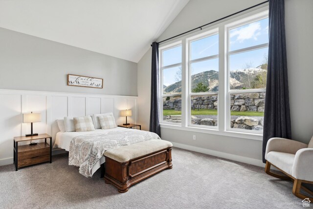 carpeted bedroom with lofted ceiling, wainscoting, and a decorative wall