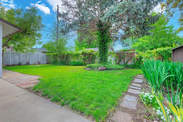 462 E 1700 S, Salt Lake City, UT 84115 - view of yard