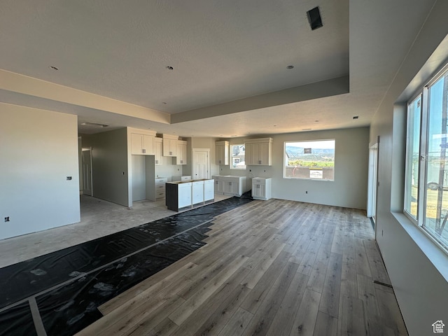 1127 N 3325 W Unit Yucca, Cedar City, UT 84721 - unfurnished living room with light wood-style floors