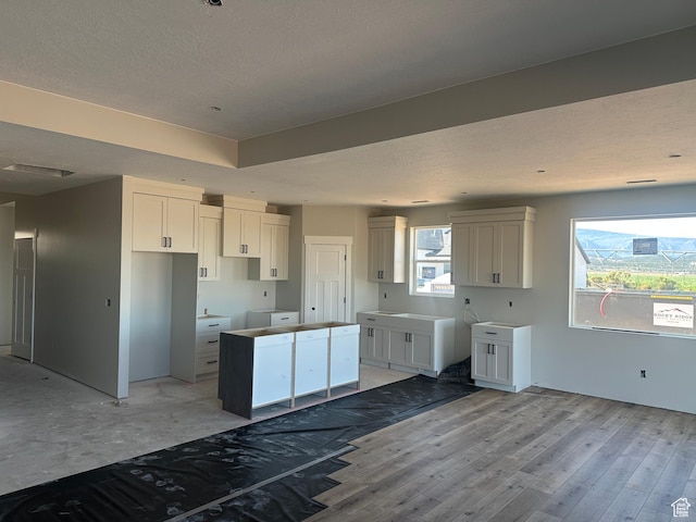 1127 N 3325 W Unit Yucca, Cedar City, UT 84721 - kitchen with a center island, healthy amount of natural light, a textured ceiling, light wood finished floors, and white cabinets