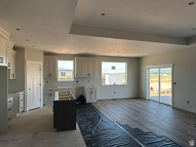 1127 N 3325 W Unit Yucca, Cedar City, UT 84721 - kitchen with plenty of natural light, a textured ceiling, freestanding refrigerator, and light wood finished floors