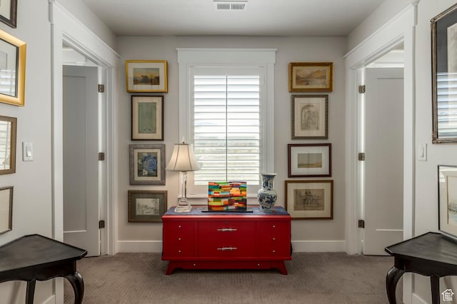 11243 S Prosperity Rd, South Jordan, UT 84009 - corridor featuring carpet floors, healthy amount of natural light, and baseboards