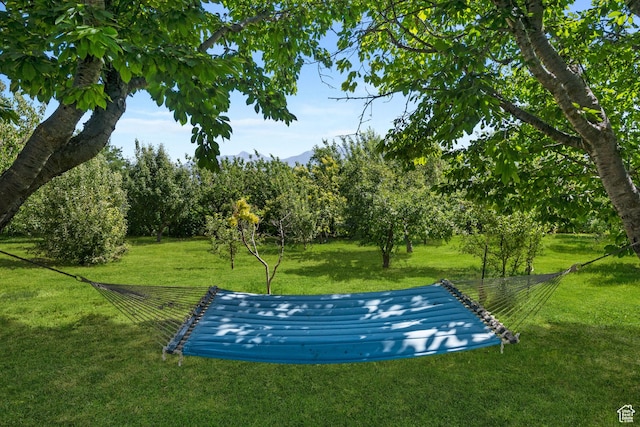 view of community featuring a lawn