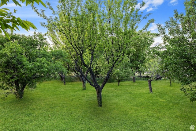 1890 W Rock Hollow Rd, Bluffdale, UT 84065 - view of green lawn