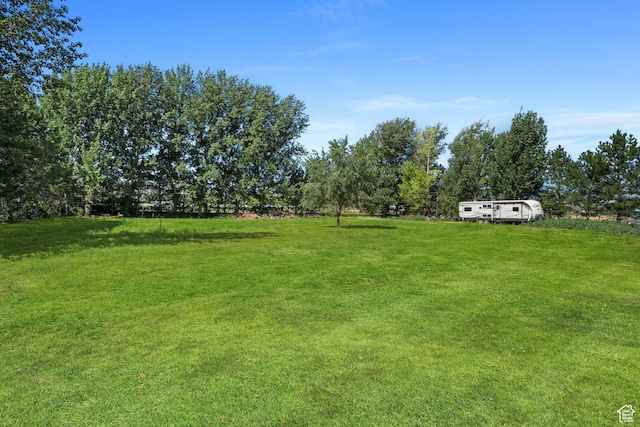 view of grassy yard