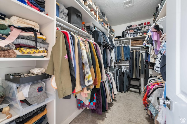 2883 S 3640 W, Hurricane, UT 84737 - spacious closet with carpet floors