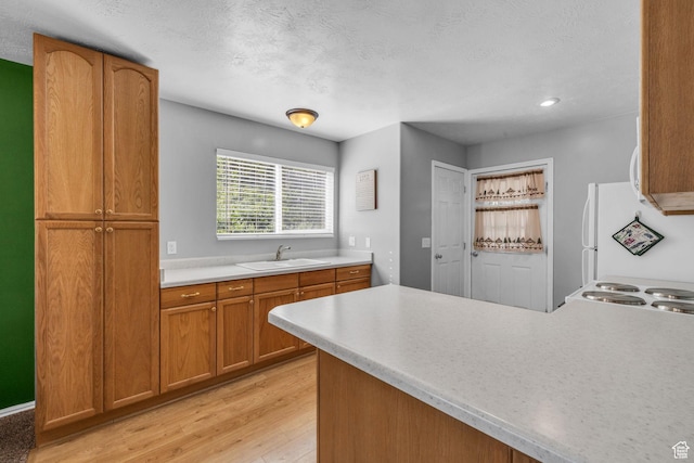 kitchen with a sink, light wood-type flooring, light countertops, freestanding refrigerator, and brown cabinetry