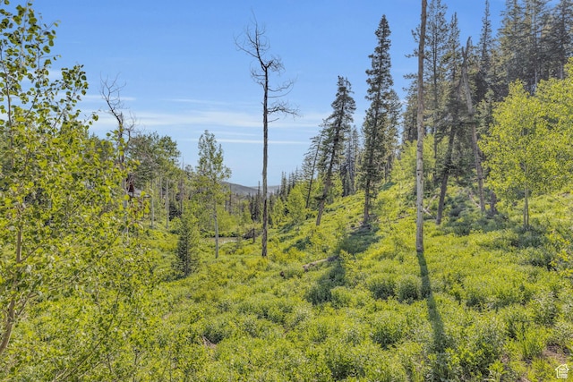 view of wooded area