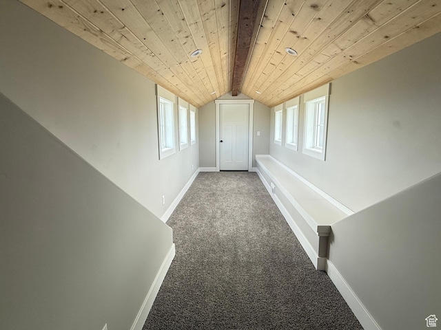 295 E 2nd N, Paris, ID 83261 - hallway with carpet floors, plenty of natural light, baseboards, and wooden ceiling
