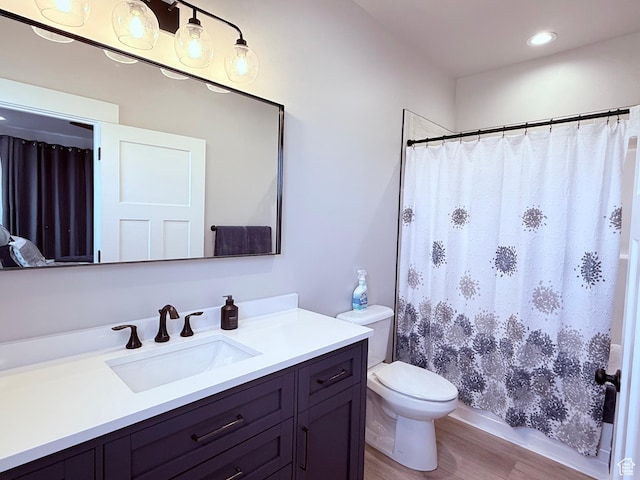 295 E 2nd N, Paris, ID 83261 - bathroom with wood finished floors, vanity, toilet, and curtained shower