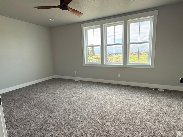 295 E 2nd N, Paris, ID 83261 - carpeted spare room featuring a ceiling fan and baseboards