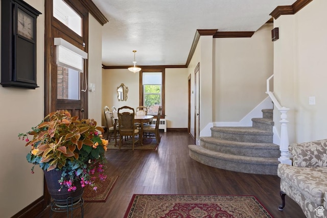 105 S 500 E, Salem, UT 84653 - entrance foyer with ornamental molding, stairs, dark wood-type flooring, and baseboards