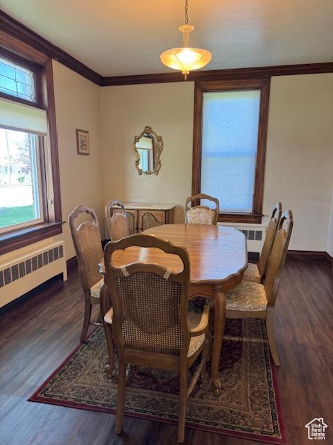 105 S 500 E, Salem, UT 84653 - dining room with radiator heating unit, crown molding, wood finished floors, and baseboards