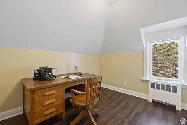 105 S 500 E, Salem, UT 84653 - office with radiator heating unit, baseboards, vaulted ceiling, and dark wood-style floors
