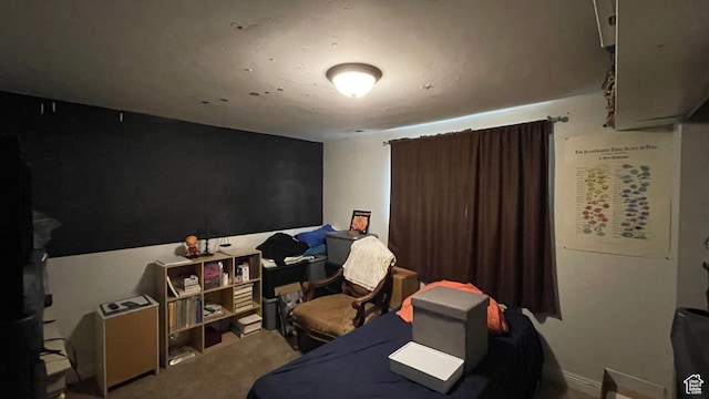 bedroom with carpet