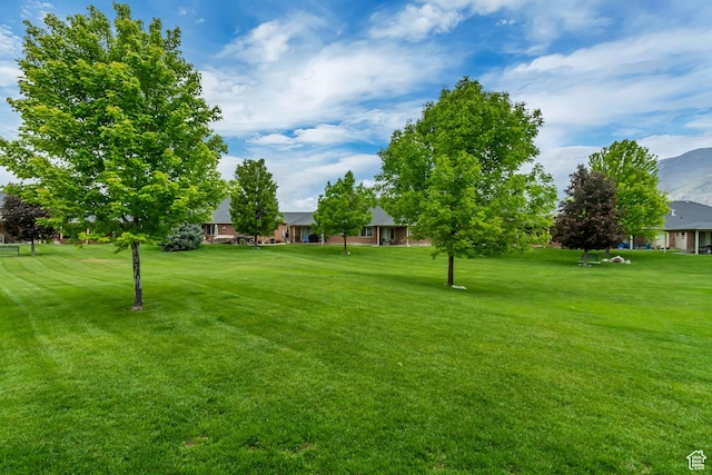 161 S 980 E, American Fork, UT 84003 - view of green lawn featuring a mountain view