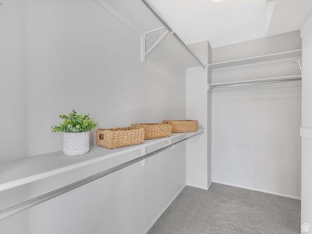 spacious closet with light colored carpet