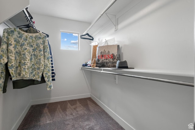 walk in closet featuring carpet