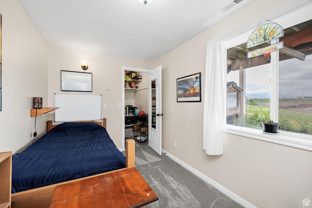 bedroom with carpet flooring, baseboards, a closet, and a walk in closet