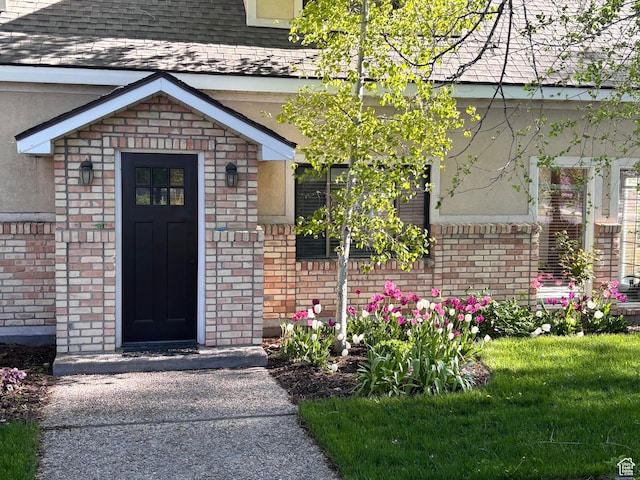doorway to property featuring roof with shingles, stucco siding, and brick siding