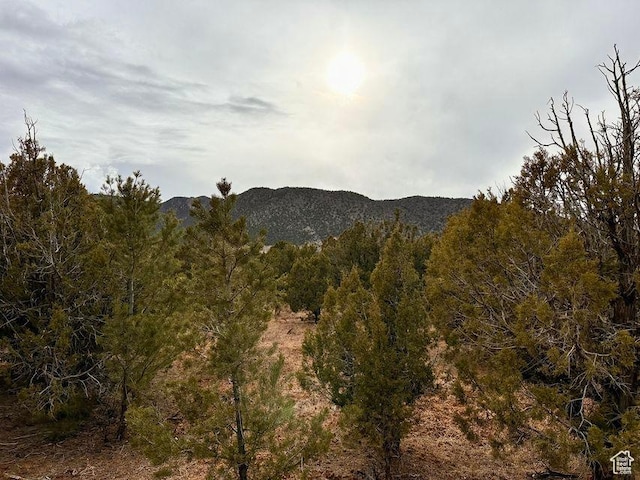 17729 W Old Irontown Rd, Cedar City, UT 84720