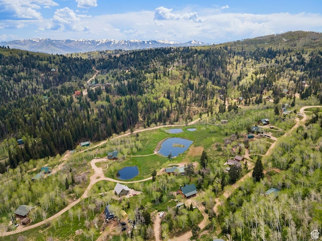 1139 W Elk Rd, Wanship, UT 84017 - photo 36