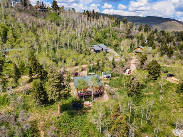 1139 W Elk Rd, Wanship, UT 84017 - photo 35