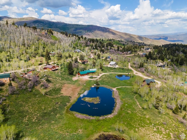 1139 W Elk Rd, Wanship, UT 84017 - photo 38