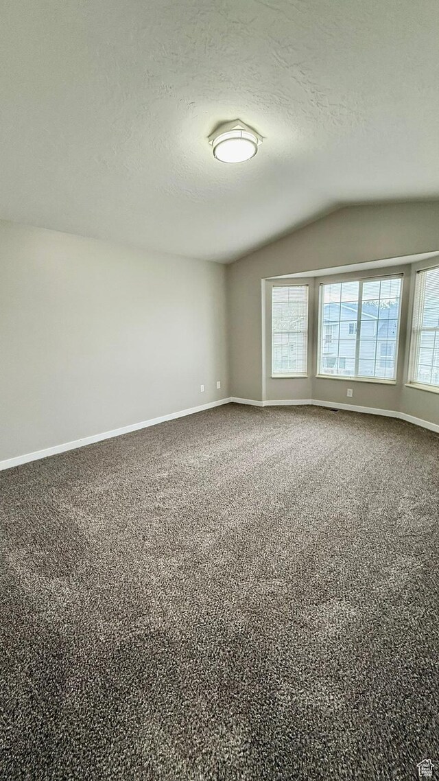 carpeted empty room featuring lofted ceiling, plenty of natural light, a textured ceiling, and baseboards