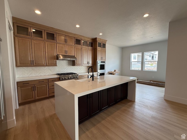 kitchen featuring under cabinet range hood, a sink, stainless steel appliances, light wood-style floors, and an island with sink