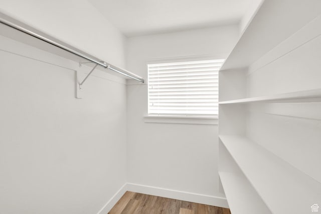 walk in closet with wood finished floors