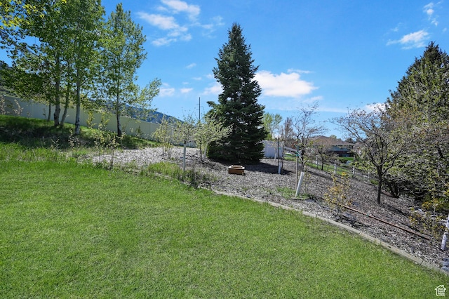 90 S Sherwood Dr, Providence, UT 84332 - view of yard