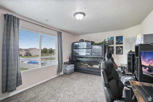 carpeted home office featuring a textured ceiling and baseboards