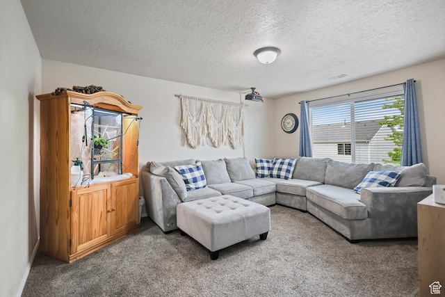 carpeted living area with a textured ceiling
