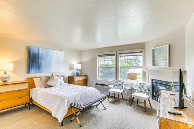 40 N Christa Cir, Garden City, UT 84028 - bedroom featuring a glass covered fireplace and carpet floors