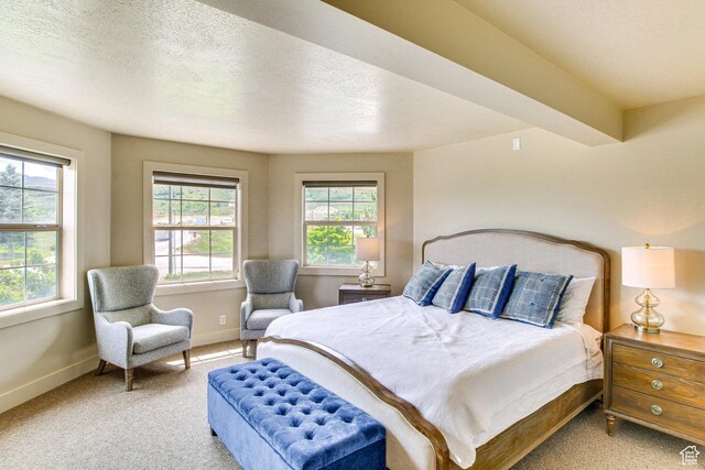 40 N Christa Cir, Garden City, UT 84028 - bedroom with light carpet, baseboards, and a textured ceiling