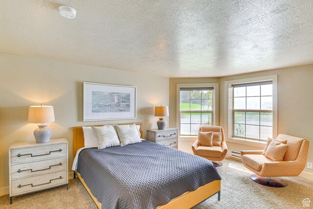 40 N Christa Cir, Garden City, UT 84028 - bedroom with light colored carpet, a textured ceiling, and baseboards
