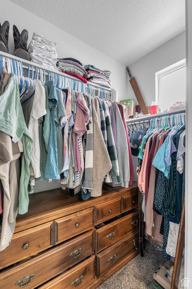 walk in closet featuring carpet floors