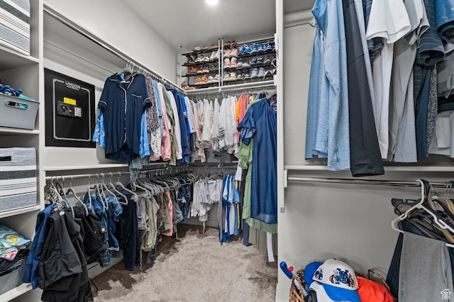 2546 N Wister Ln Unit 334, Lehi, UT 84043 - spacious closet featuring carpet floors