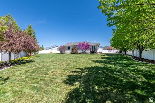 view of yard