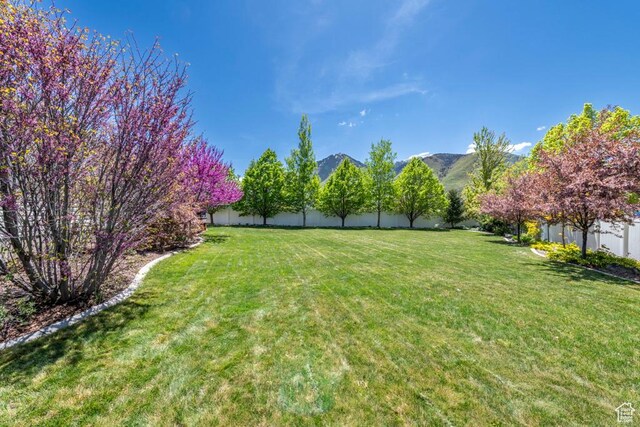 view of grassy yard featuring a mountain view