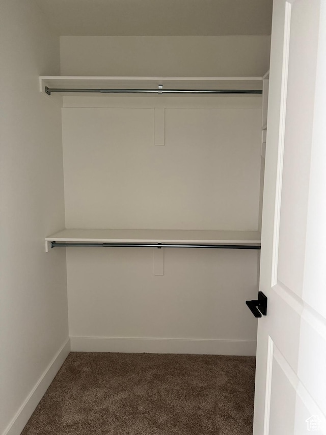 spacious closet with carpet floors