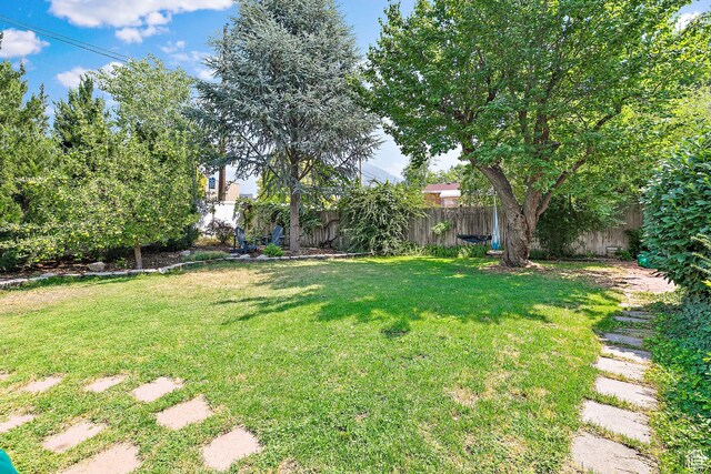 view of yard
