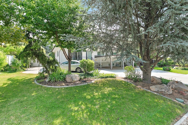 view of green lawn with concrete driveway, a carport, and a porch