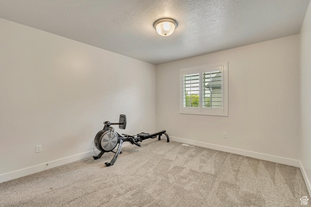 341 N 100 W, Morgan, UT 84050 - workout room featuring baseboards, carpet flooring, and a textured ceiling
